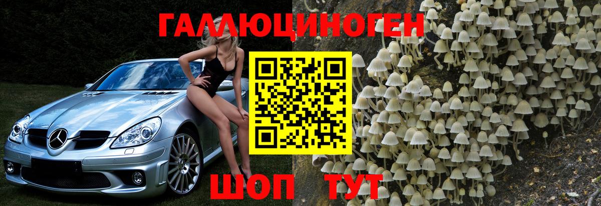 Псилоцибиновые грибы Psilocybine cubensis  как найти закладки  Вход с VPN  Каспийск  Псилоцибиновые грибы мицелий 