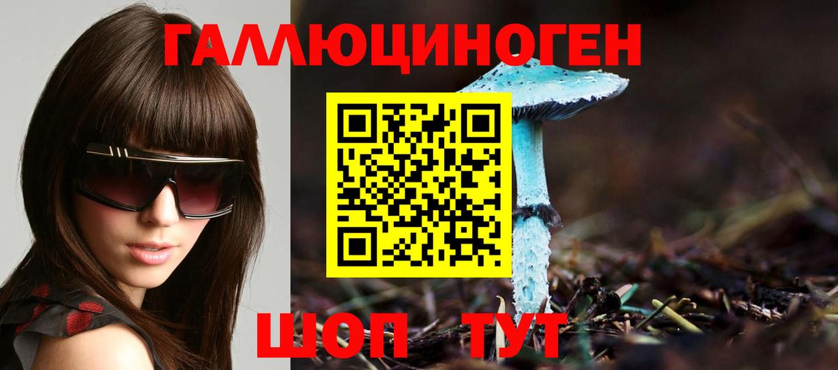 Псилоцибиновые грибы GOLDEN TEACHER Каспийск